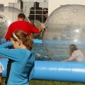 Samborzec 2014